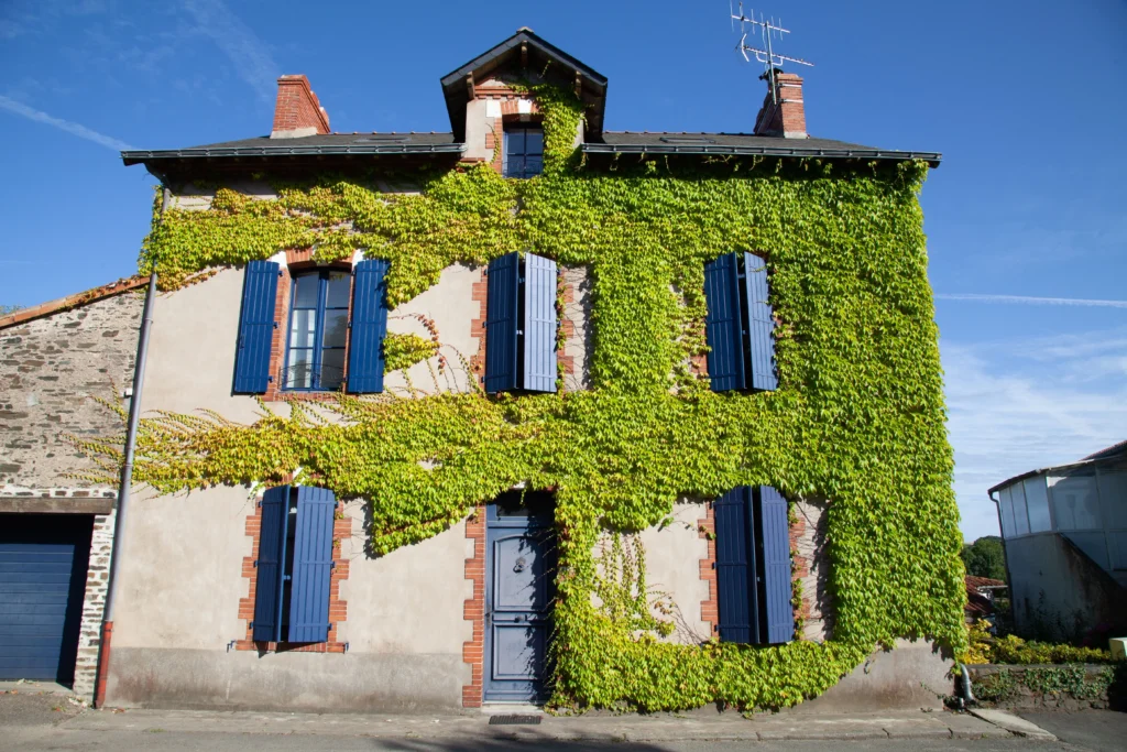 photo particulier